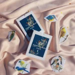 Birds Transparent Stickers Pack