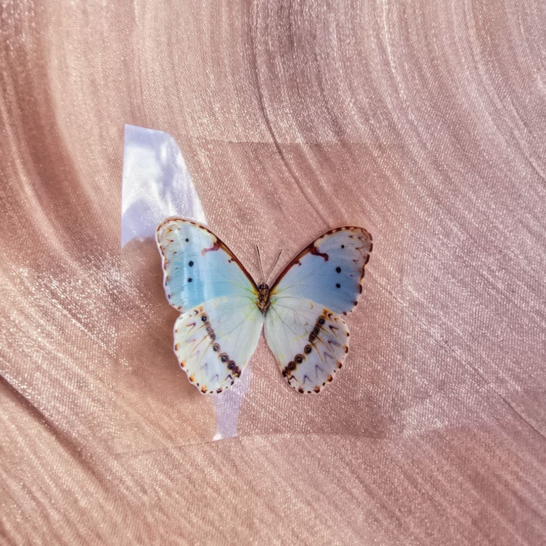 IMG_20260119_001302_027 Blue butterfly UV Sticker - الصورة 1